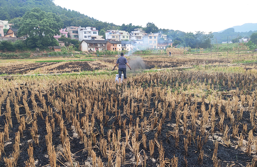 土壤調(diào)理劑撒施